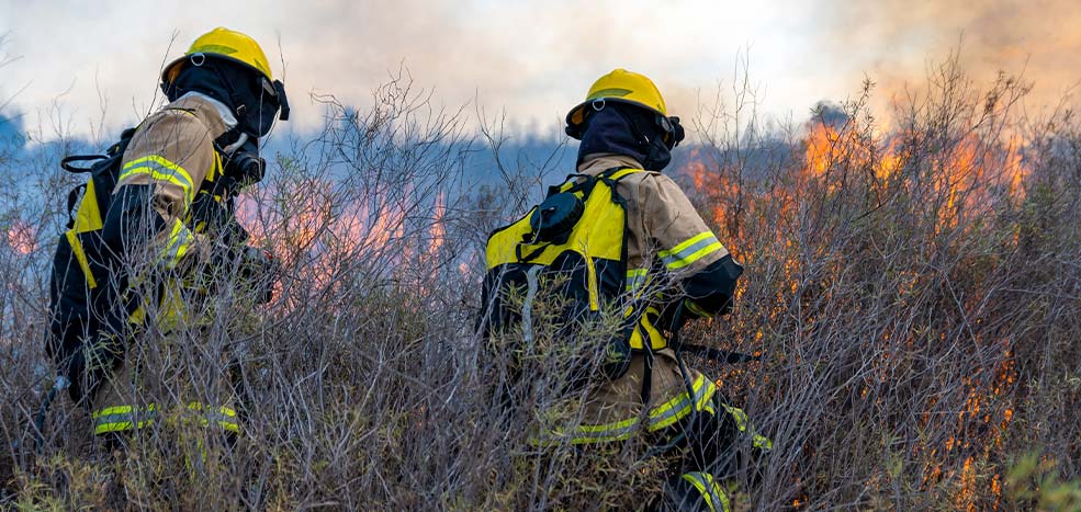 bomberos-forestales